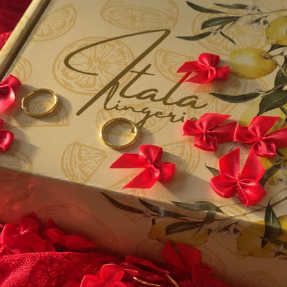 ❤️‍🔥Scandale - Coffret couture de lingerie avec patrons inclus